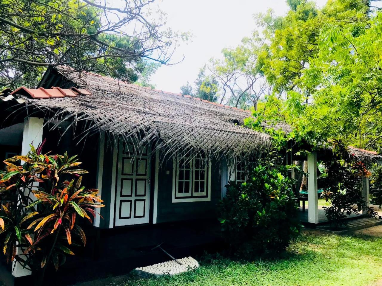 Werala Beach Resort 칼피티야 외부 사진