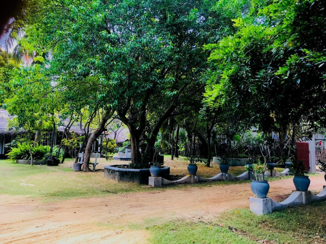Werala Beach Resort 칼피티야 외부 사진