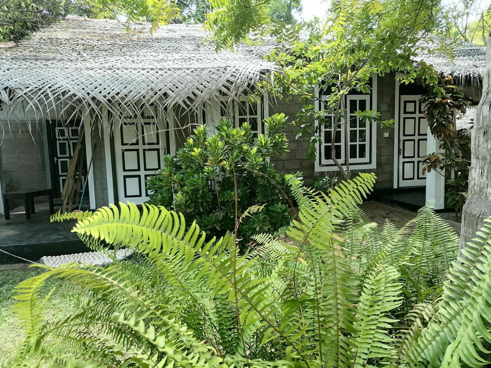 Werala Beach Resort 칼피티야 외부 사진